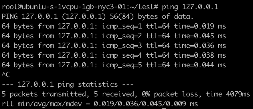 ping local host